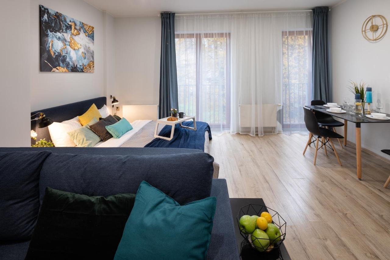 Old Ridzenes Design Appartement
